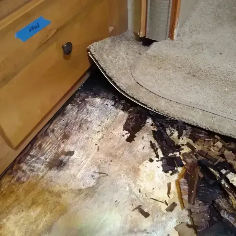 Wood Floor Water Damage in Lake Michigan Beach, MI